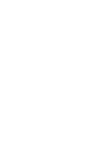 dragon left