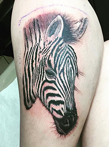 zebra tattoo virginia